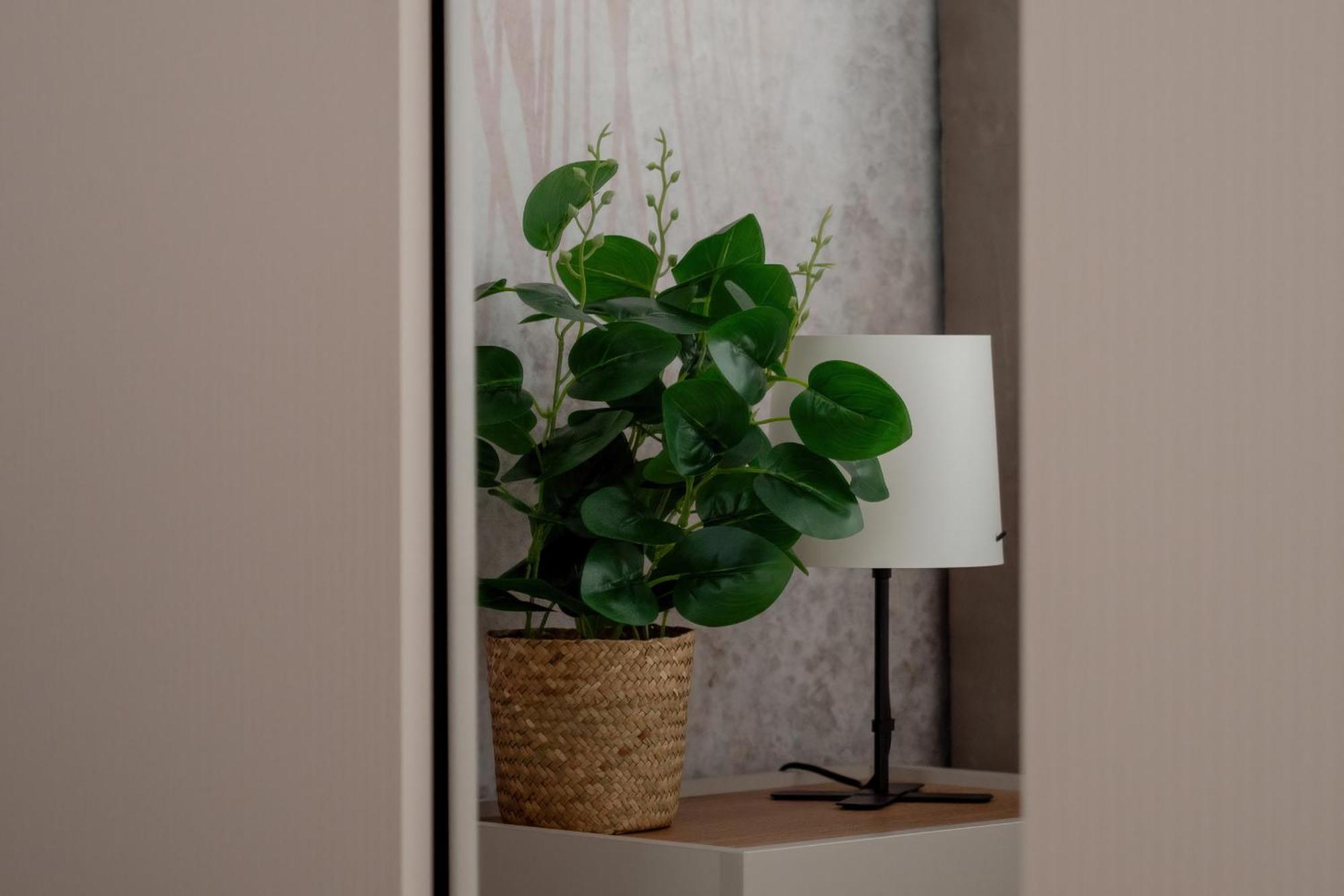 Exceptional Apartment With Parking By Noclegi Renters Katowice Exteriör bild